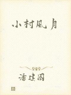 小村风月封面