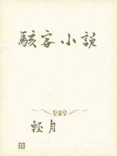 骇客小说