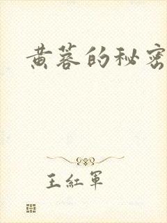 黄蓉的秘密封面