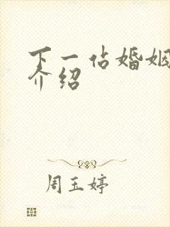 下一站婚姻剧情介绍