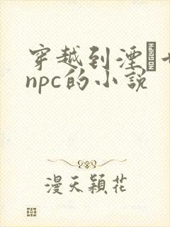 穿越到湮婸世界npc的小说封面