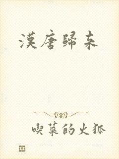 汉唐归来