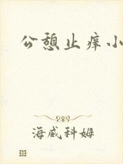 公憩止痒小说