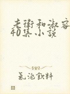 老卫和淑容1-40集小说封面