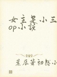 女主是小三的pop小说