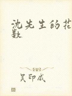 沈先生的花式调数