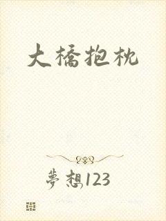 大桥抱枕
