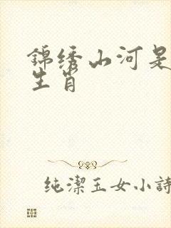 锦绣山河是什么生肖封面