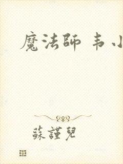 魔法师 韦小宝