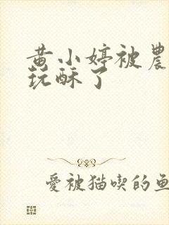 黄小婷被农民工玩酥了封面