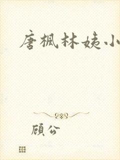 唐枫林姨小说