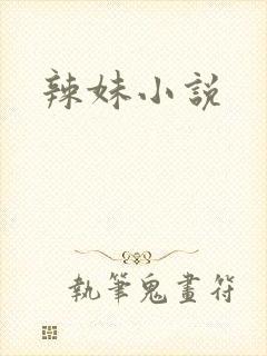 辣妹小说