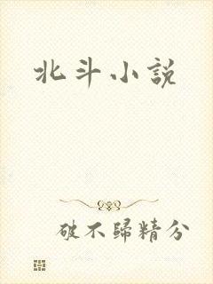 北斗小说封面