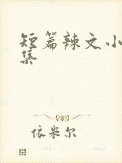 短篇辣文小说合集