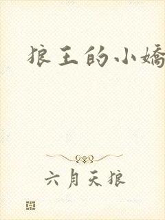 狼王的小娇妻