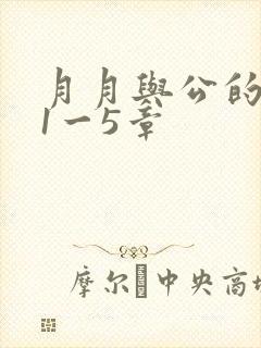 月月与公的激情1一5章