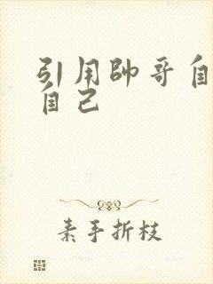 引用帅哥自己玩自己