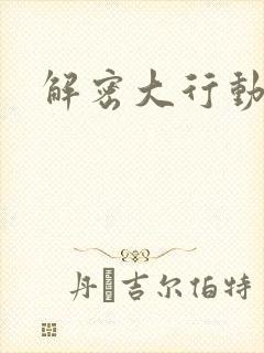 解密大行动