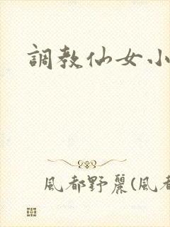 调教仙女小说封面