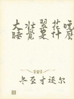 大壮翠花晚上不睡觉是什么电视剧