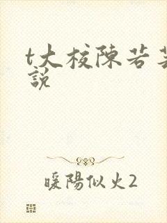 t大校陈若芸小说