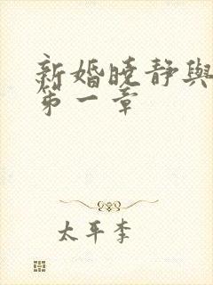 新婚晓静与翁公笫一章