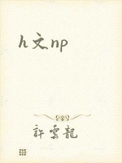 h文np封面