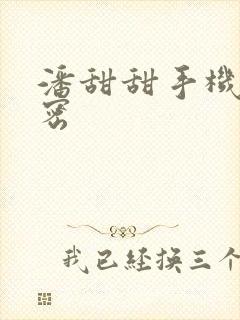 潘甜甜手机的秘密封面