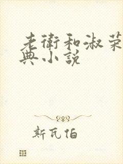 老卫和淑荣的经典小说