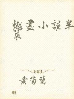 燃尽小说半截白菜