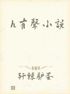 h有声小说