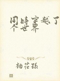 同时穿越了99个世界