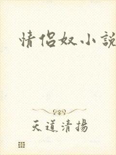 情侣奴小说