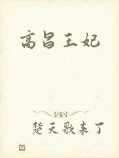 高昌王妃封面