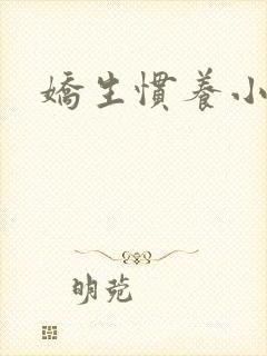 娇生惯养小说