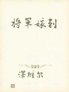 将军嫁到封面
