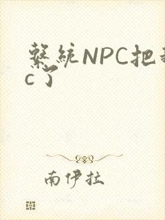 系统NPC把我c了