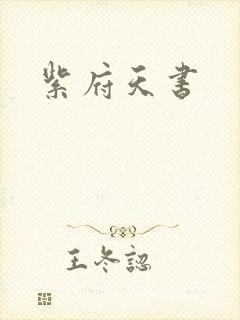 紫府天书