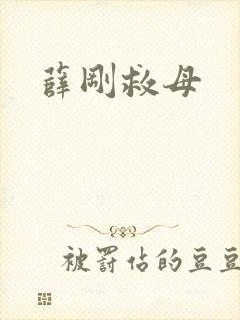 薛刚救母
