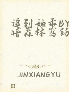 追到她乖BY黑暗森林写的小说封面