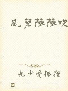 风儿阵阵吹