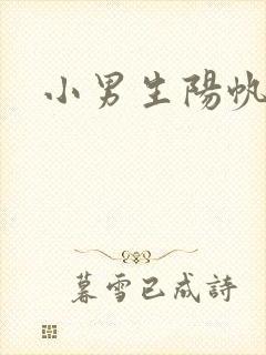 小男生阳帆