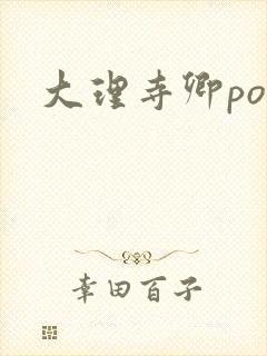 大理寺卿po