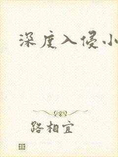 深度入侵小说