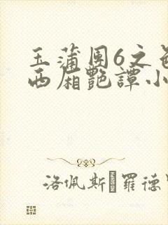 玉蒲团6之色情西厢艳谭小说封面