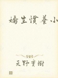 娇生惯养小说