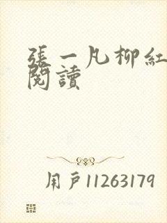 张一凡柳红免费阅读封面
