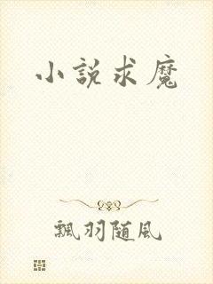 小说求魔封面