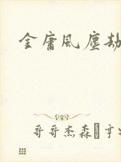 金庸风尘劫封面