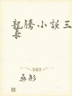 龙腾小说三宝局长封面